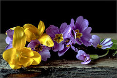 photo "***"