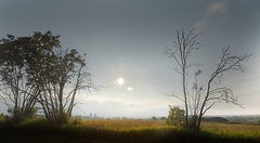 photo "***"