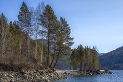 photo "***"