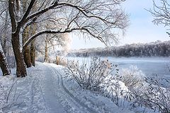 photo "***"