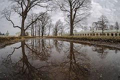 photo "Ораниенбаум. Весна"