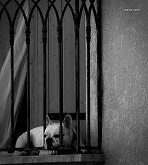 photo "alone"