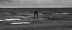 photo "***"