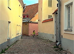 photo "In the old alleyway"