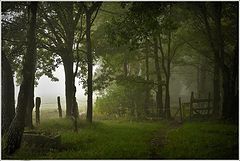 photo "***"