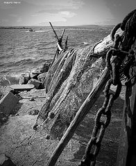 photo "nets"