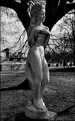 photo "Дерево и статуя"