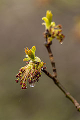 photo "Гуляя по району"