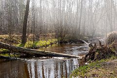 photo "***"