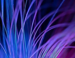 photo "***"