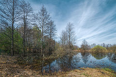 photo "***"