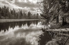 photo "***"