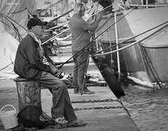 photo "no stress"