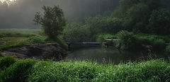 photo "***"