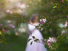 фото "С-нежно-Розовая весна..."