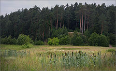photo "***"