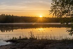 photo "***"