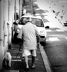 photo "the walk"