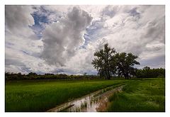 photo "***"