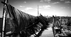 photo "nets"