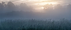 photo "***"