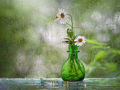 photo "***"