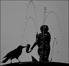 photo "Птица и фонтан"