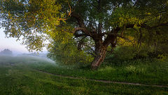 photo "***"
