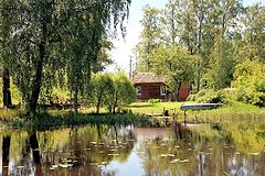 фото "Полдень"