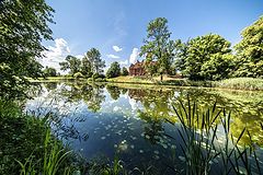 photo "The Pond View"