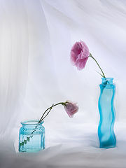 photo "***"