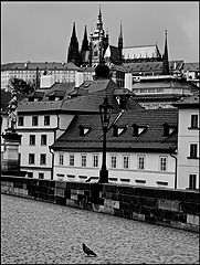 photo "Вид с моста-3"