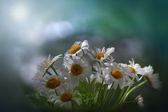 photo "***"