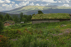 фото "Summer  landscape"