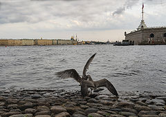 фото "Отношения"
