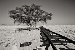 photo "***"