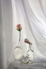 photo "***"