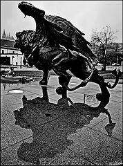 photo "Лев на Кларовe"