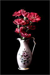 photo "***"