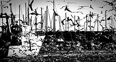 photo "invasion"