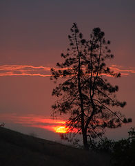 photo "Another one ..."