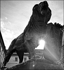 photo "Чешский лев"