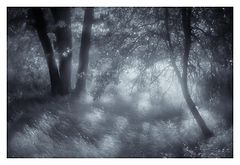 photo "***"