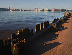 фото "Невский берег"