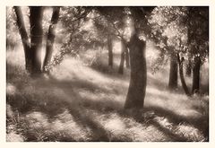 photo "***"
