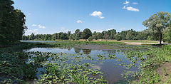 фото "Зa'росли..."