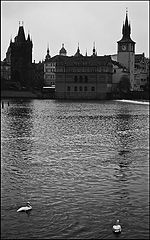 photo "Башни, река и лебеди"