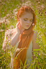 photo "***"