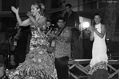 photo "flamenco"