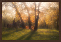 photo "***"